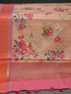 Banarasi butter tissue silk saree - peach with pink