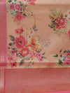 Banarasi butter tissue silk saree - peach with pink