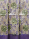 Banarasi butter tissue silk saree - floral